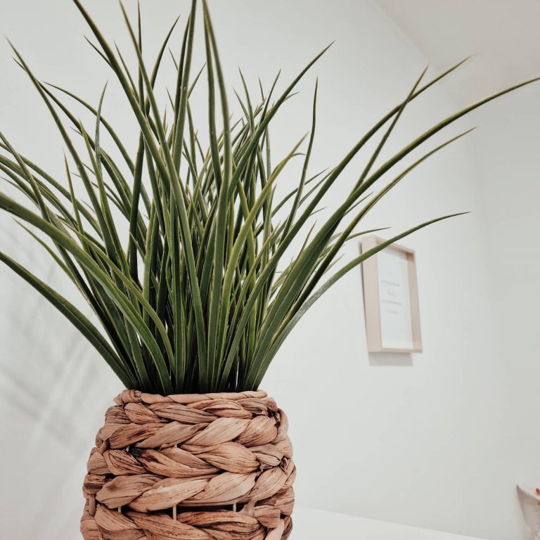 gabinete clinica laser de belém